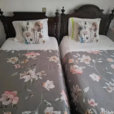 招待所 玛丽亚洛塞旅馆 *